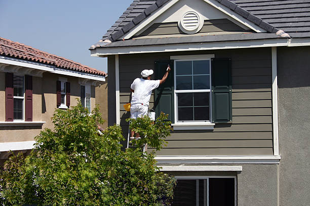 What is the average cost of hiring a professional painter in Overland Park?